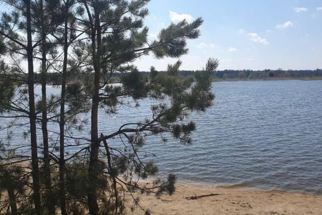 Водойма Заруддя — фото 5
