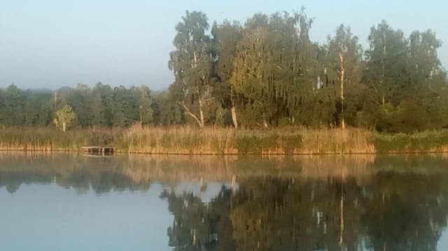 Водойма Забуяння — фото 3