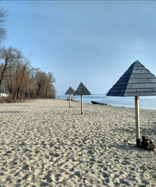 Грибки
