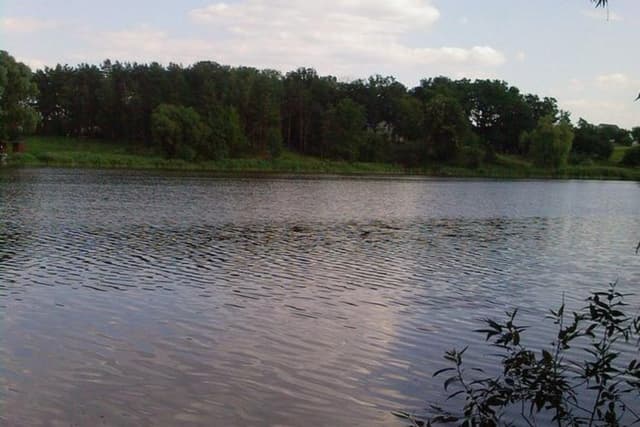 Мироцьке, став №2