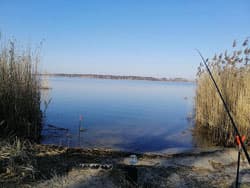 Ебісу (Ошитки) — photo 3