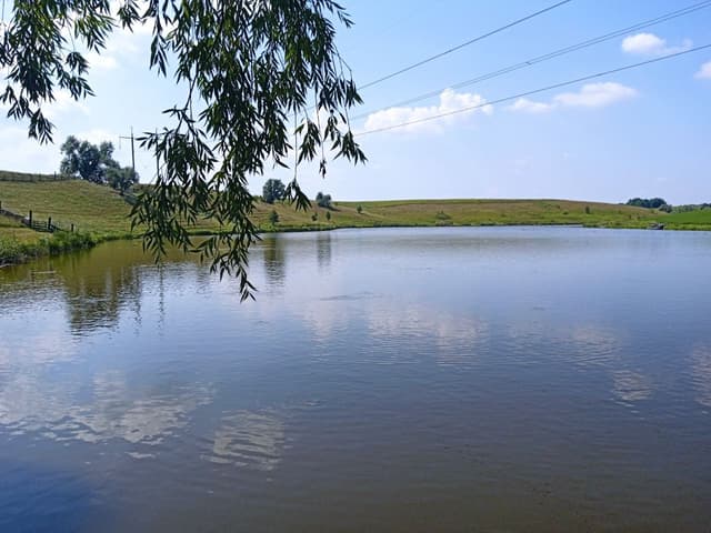 Марчуків став — фото 3