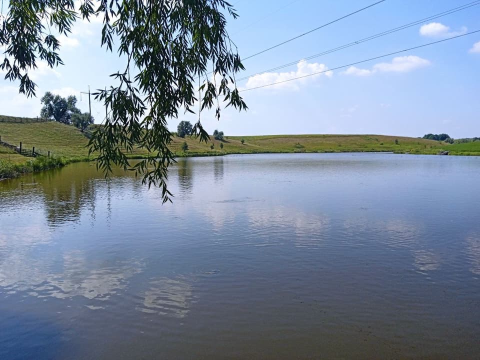 Марчуків став — фото 3