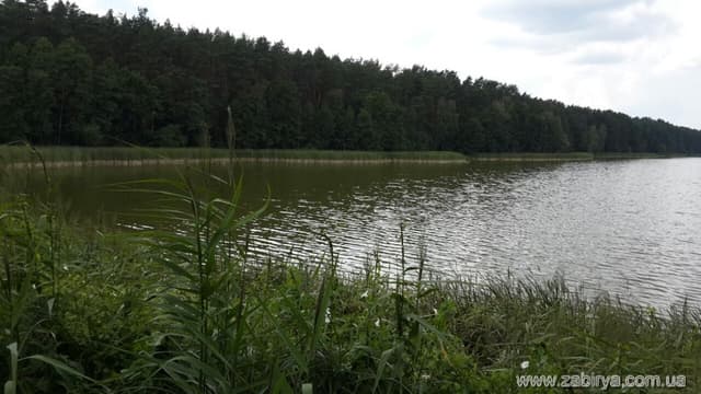 Фіш Парк Забір'я — photo 5
