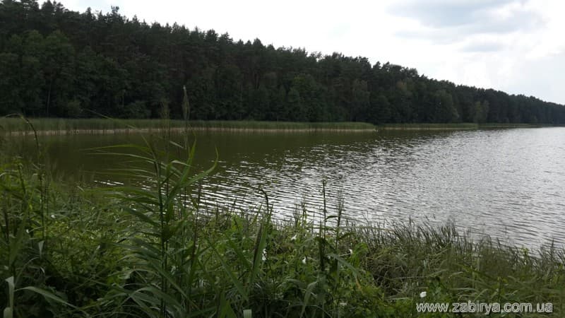 Фіш Парк Забір'я — photo 5