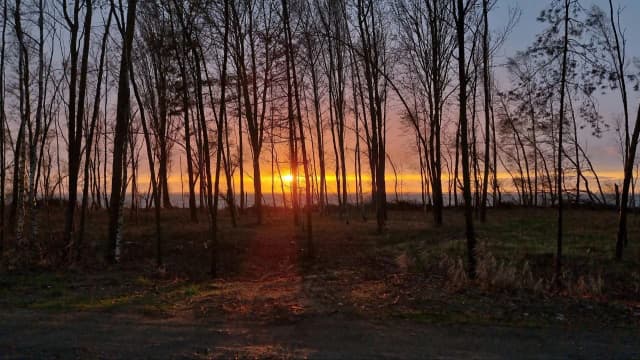 Лиманне господарство Нептун — фото 4