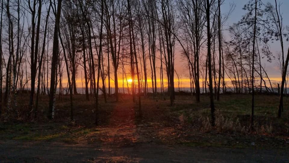 Лиманне господарство Нептун — фото 4