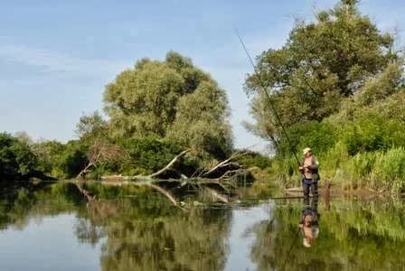 Турбаза «Купава» — фото 5